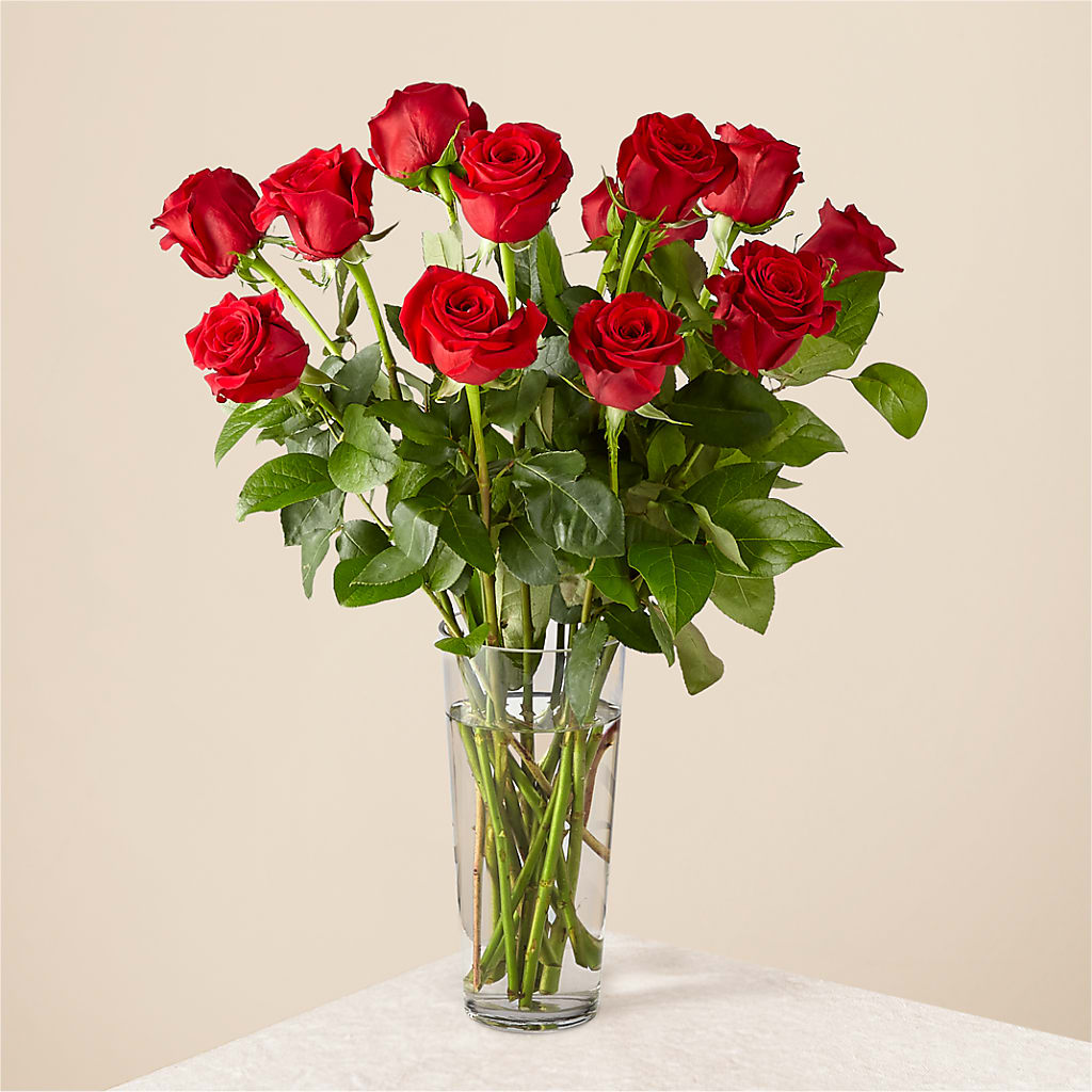 Long Stem Red Rose Bouquet – FLOWERS & GIFTS AT ROTH'S, Salem OR