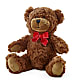 Adorable Plush Bear – FLOWERS & GIFTS AT ROTH'S, Salem OR