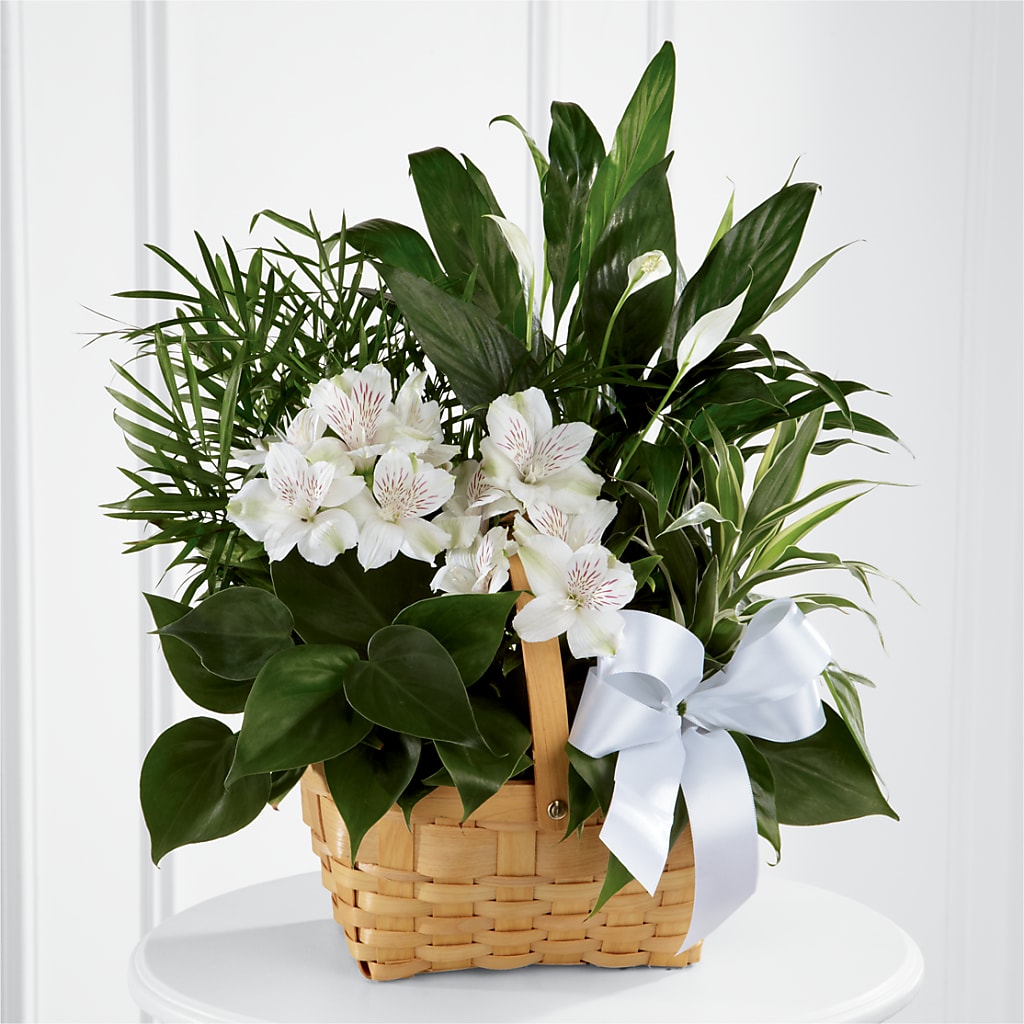 Peace & Serenity Dishgarden – FLOWERS & GIFTS AT ROTH'S, Salem OR