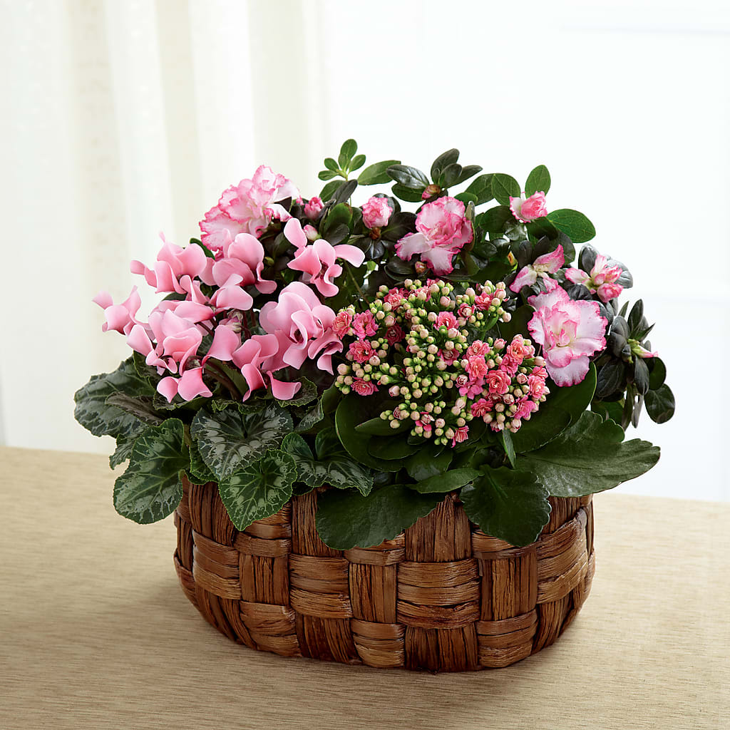 Pink Assortment – FLOWERS & GIFTS AT ROTH'S, Salem OR