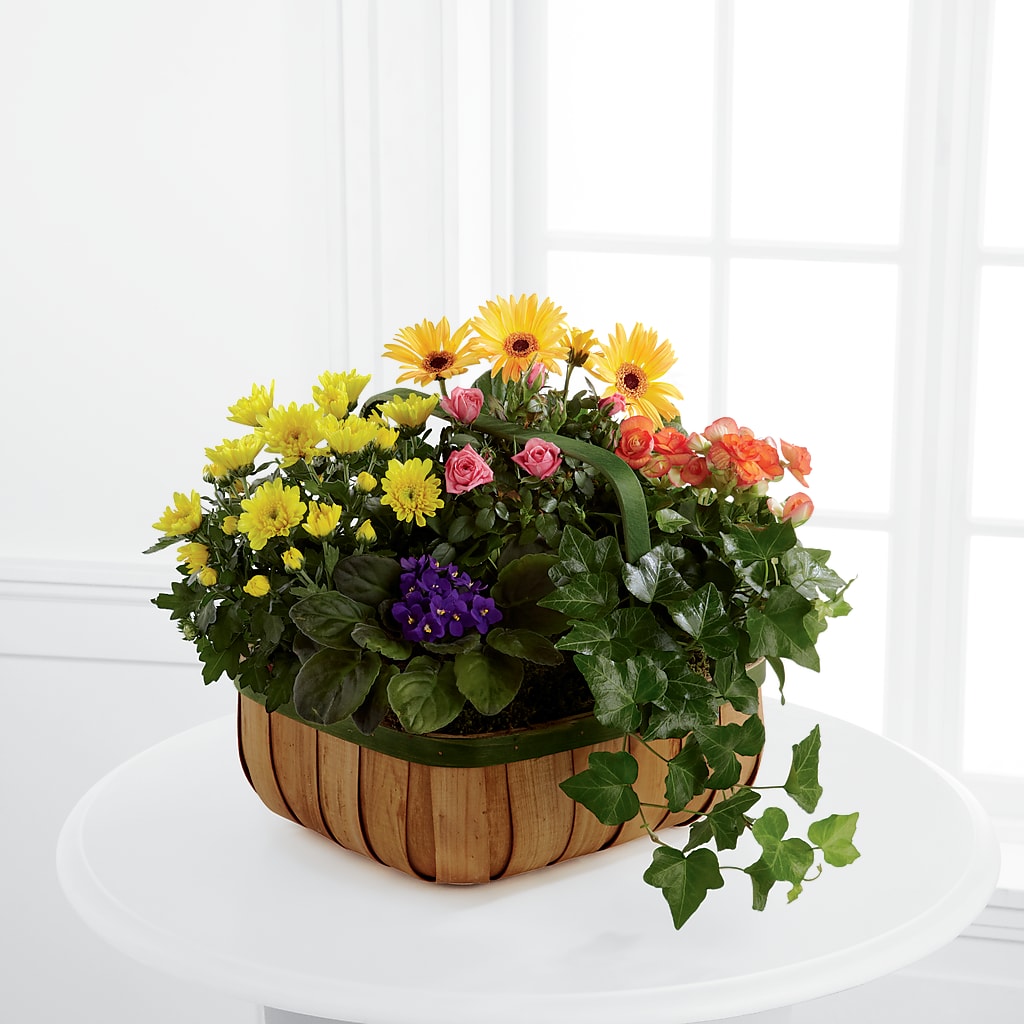 Gentle Blossoms Basket – FLOWERS & GIFTS AT ROTH'S, Salem OR