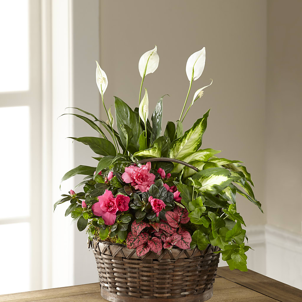 Dream in Pink Dishgarden – FLOWERS & GIFTS AT ROTH'S, Salem OR