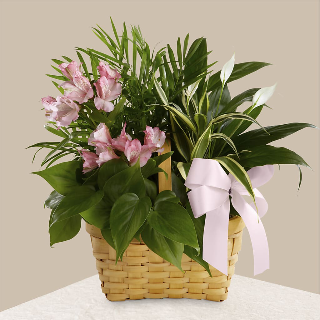 Living Spirit Dishgarden – FLOWERS & GIFTS AT ROTH'S, Salem OR