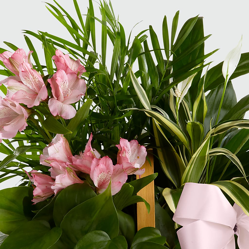 Living Spirit Dishgarden – FLOWERS & GIFTS AT ROTH'S, Salem OR
