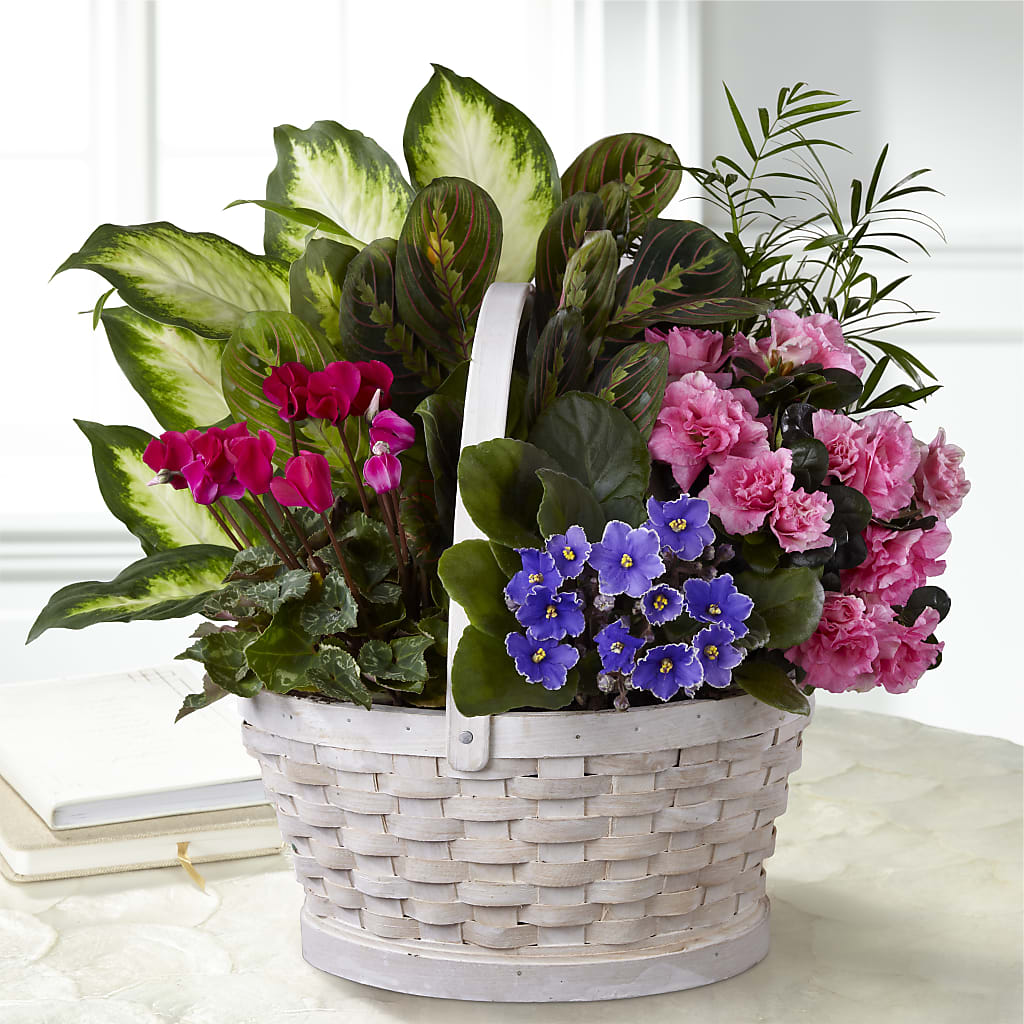 Peaceful Garden Planter – FLOWERS & GIFTS AT ROTH'S, Salem OR
