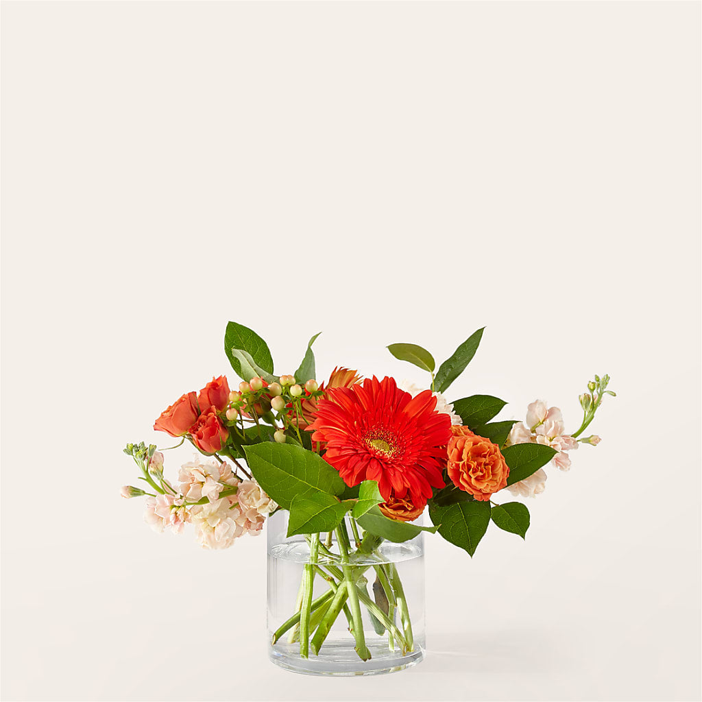 Paloma Please Bouquet – FLOWERS & GIFTS AT ROTH'S, Salem OR