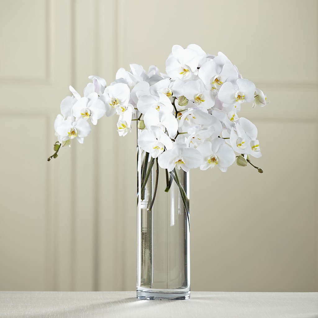 White Phalaenopsis Bouquet – FLOWERS & GIFTS AT ROTH'S, Salem OR