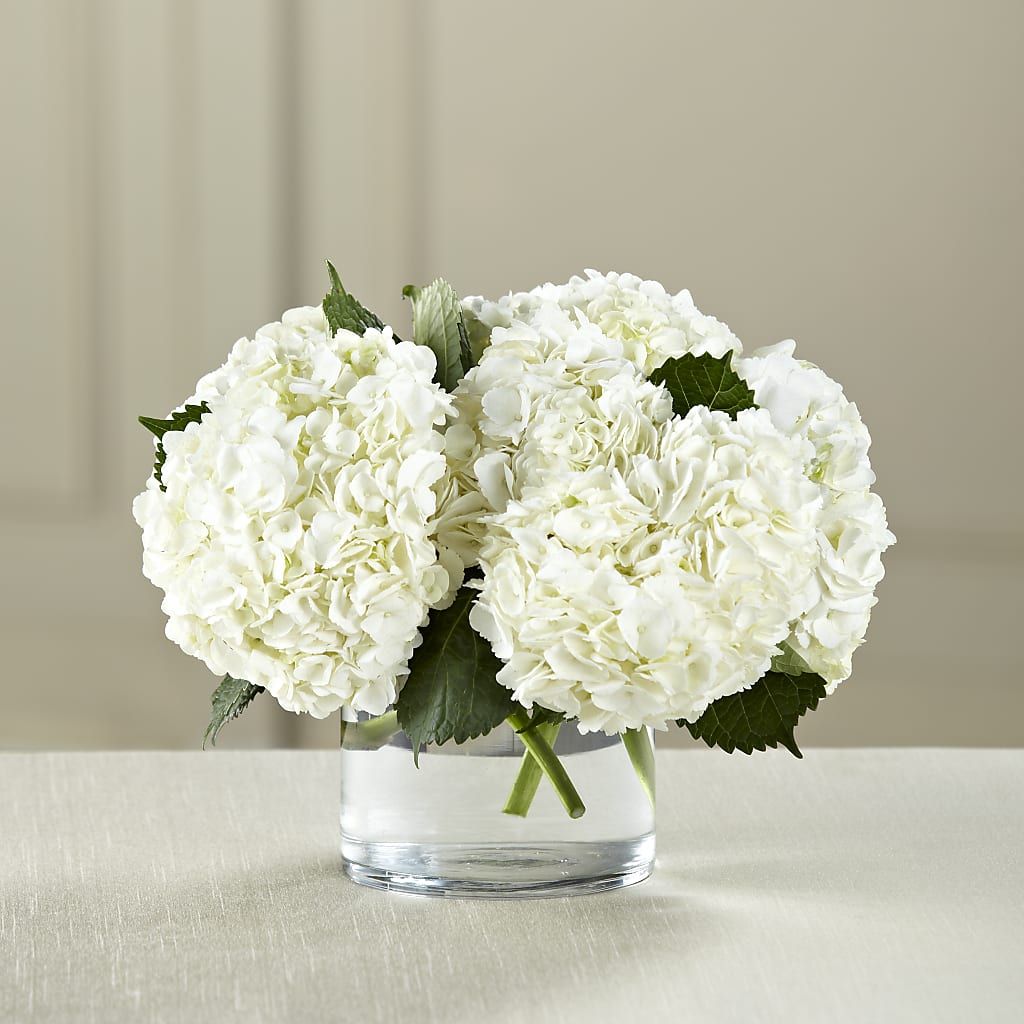 White Hydrangea Bouquet – FLOWERS & GIFTS AT ROTH'S, Salem OR