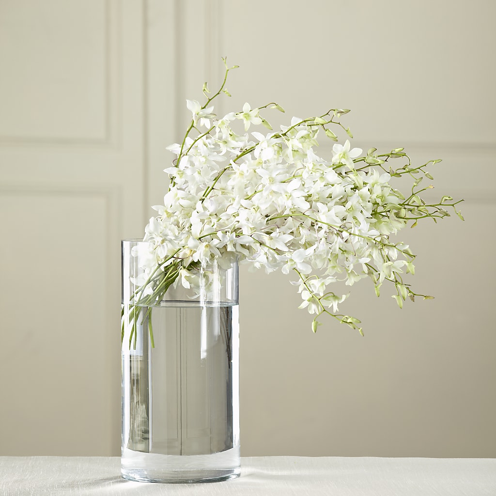 White Dendrobium Bouquet – FLOWERS & GIFTS AT ROTH'S, Salem OR