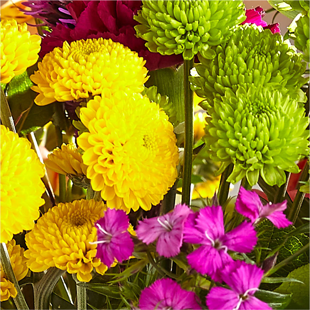 Bold & Bright – A Florist Original – FLOWERS & GIFTS AT ROTH'S, Salem OR