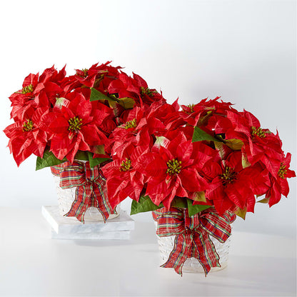 Happiest Holidays Poinsettia Bundle – FLOWERS & GIFTS AT ROTH'S, Salem OR