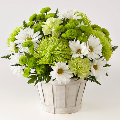 Lucky Charm Basket (Standard) – FLOWERS & GIFTS AT ROTH'S, Salem OR