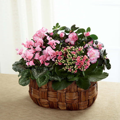 Pink Assortment – FLOWERS & GIFTS AT ROTH'S, Salem OR