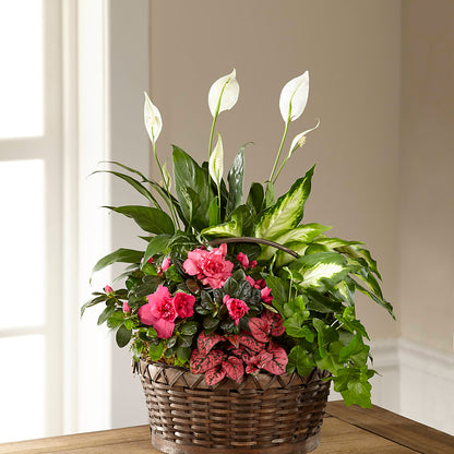 Dream in Pink Dishgarden – FLOWERS & GIFTS AT ROTH'S, Salem OR