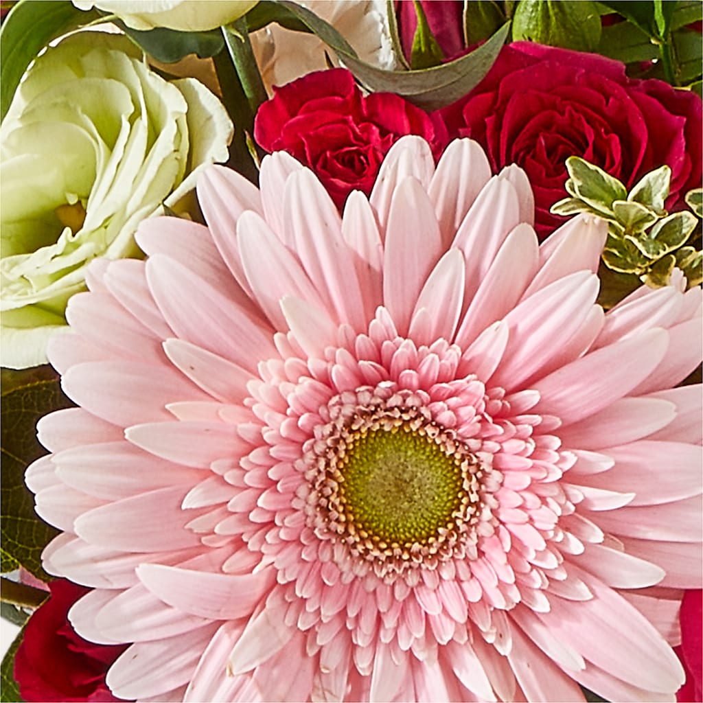 Too Cute Bouquet – FLOWERS & GIFTS AT ROTH'S, Salem OR