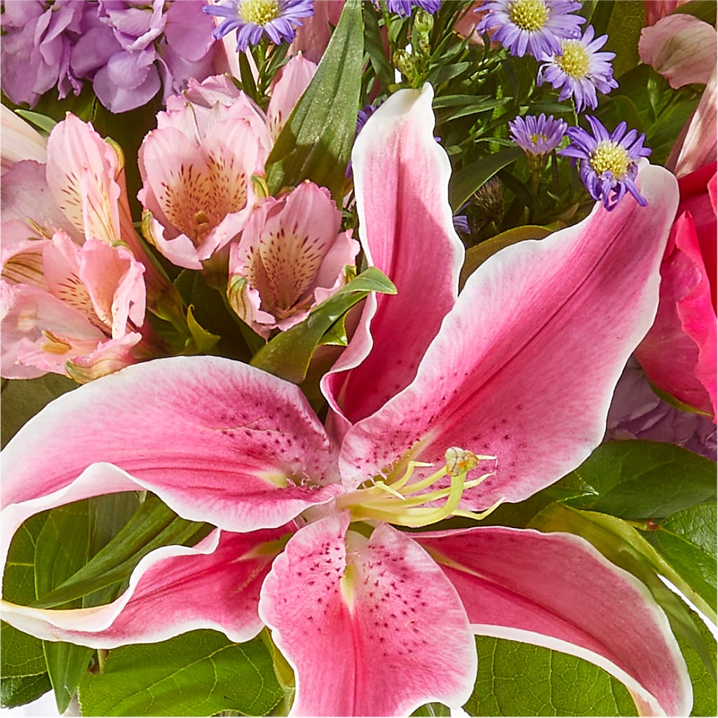 Written in the Stars Bouquet – FLOWERS & GIFTS AT ROTH'S, Salem OR