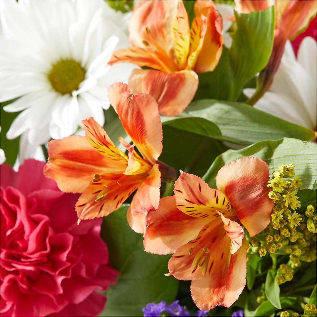 Oopsie Daisy Box Bouquet – FLOWERS & GIFTS AT ROTH'S, Salem OR