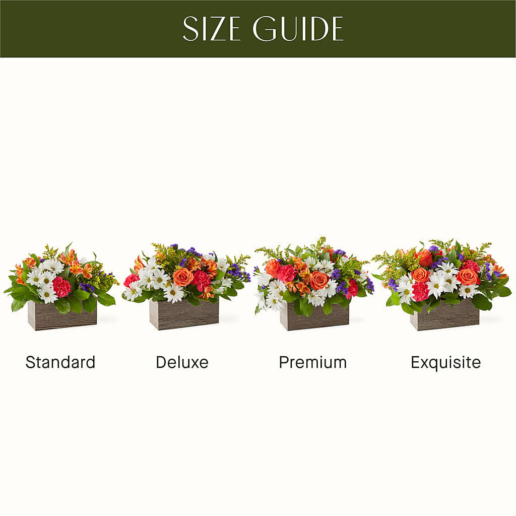Oopsie Daisy Box Bouquet – FLOWERS & GIFTS AT ROTH'S, Salem OR
