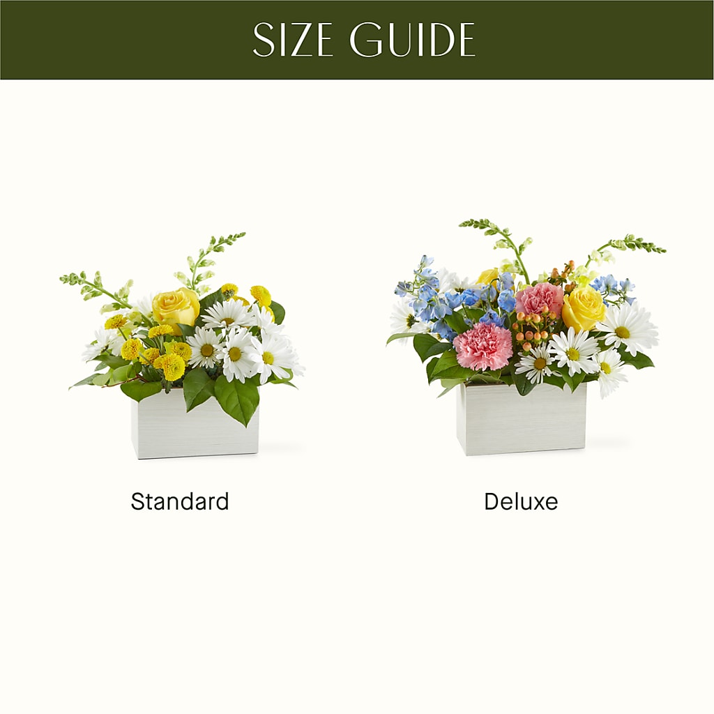 Sun Salutation Box Bouquet – FLOWERS & GIFTS AT ROTH'S, Salem OR