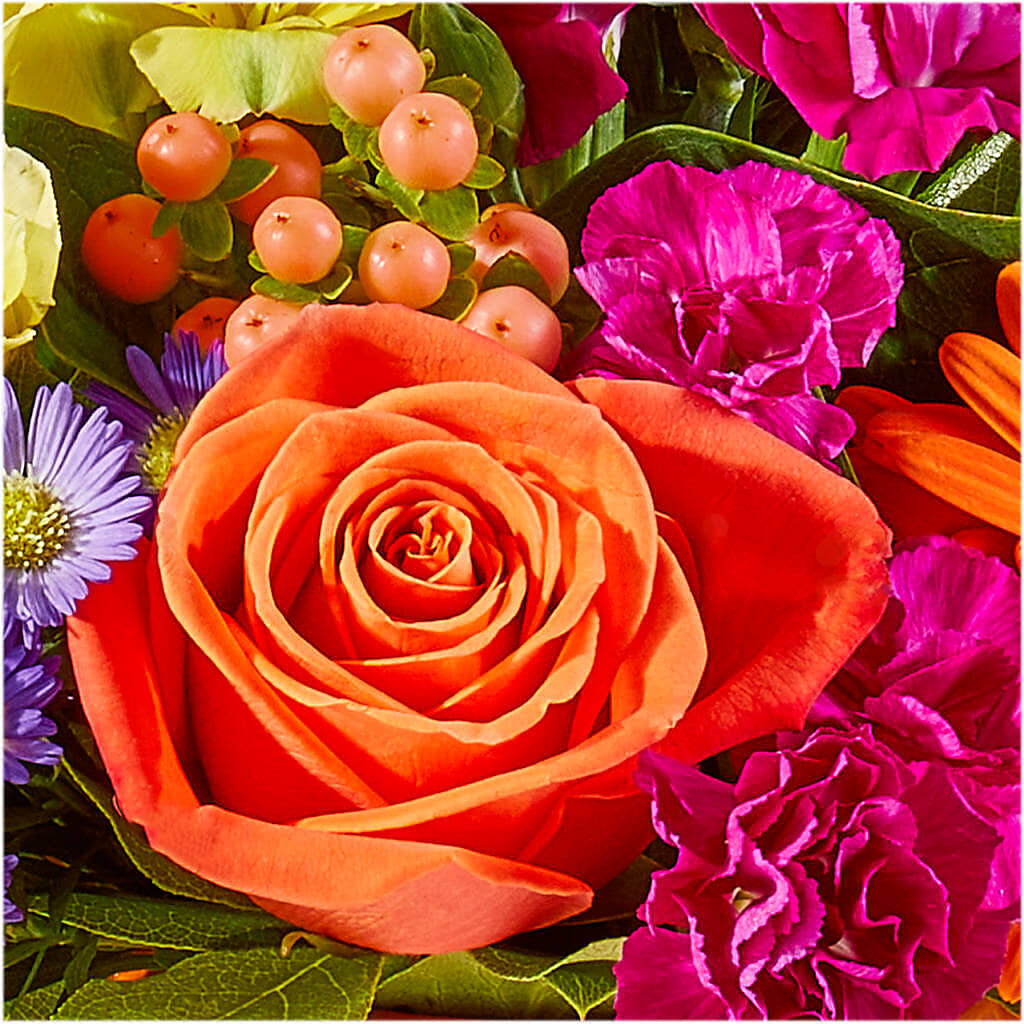 Tricks & Treats Pumpkin – FLOWERS & GIFTS AT ROTH'S, Salem OR