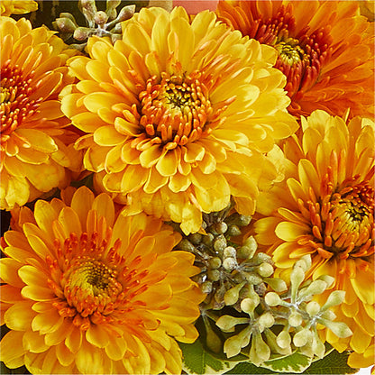 Peachy Pumpkin – FLOWERS & GIFTS AT ROTH'S, Salem OR
