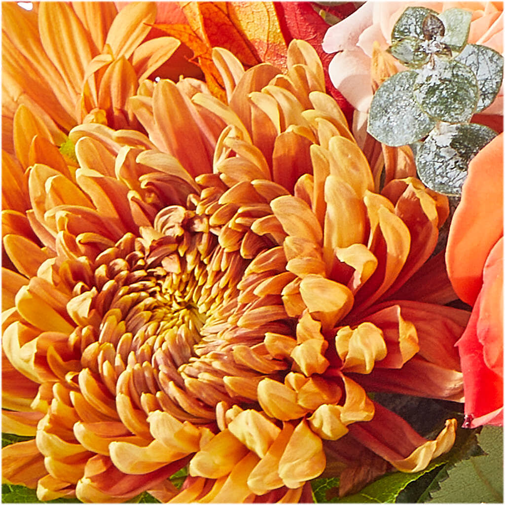 Scenic Route Bouquet – FLOWERS & GIFTS AT ROTH'S, Salem OR