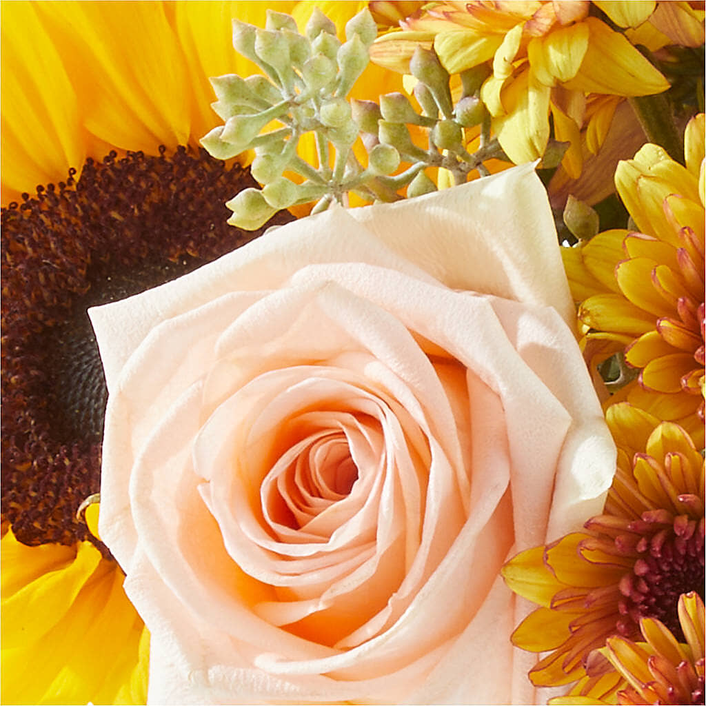 Pumpkin to Talk About Bouquet – FLOWERS & GIFTS AT ROTH'S, Salem OR