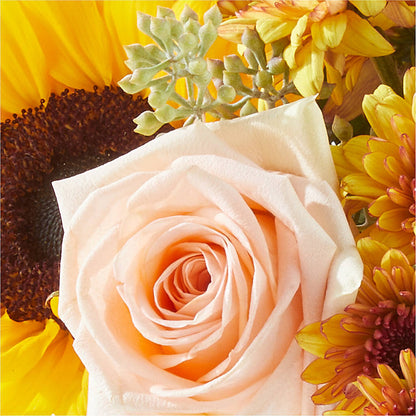 Pumpkin to Talk About Bouquet – FLOWERS & GIFTS AT ROTH'S, Salem OR