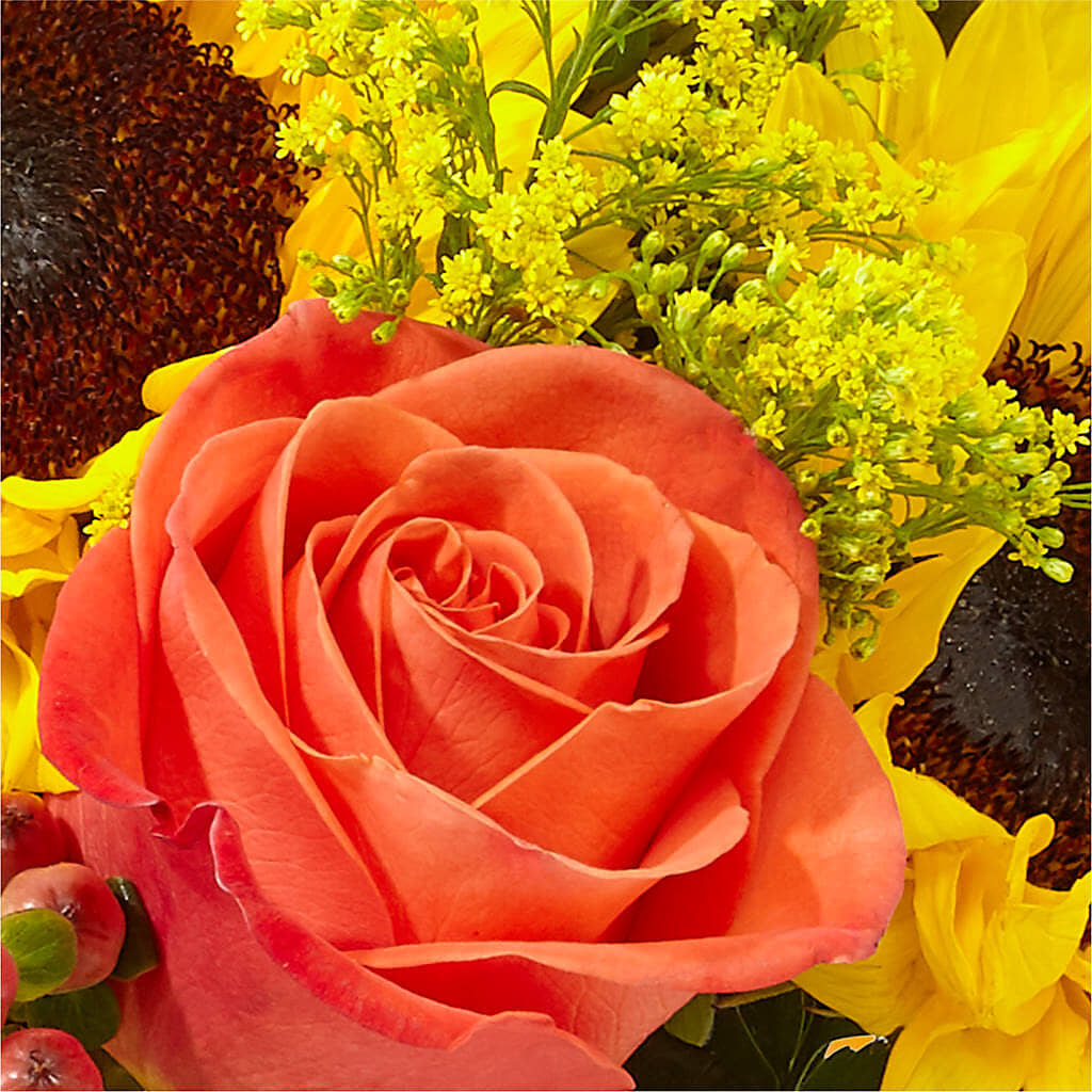 Pick of the Patch Pumpkin Bouquet – FLOWERS & GIFTS AT ROTH'S, Salem OR