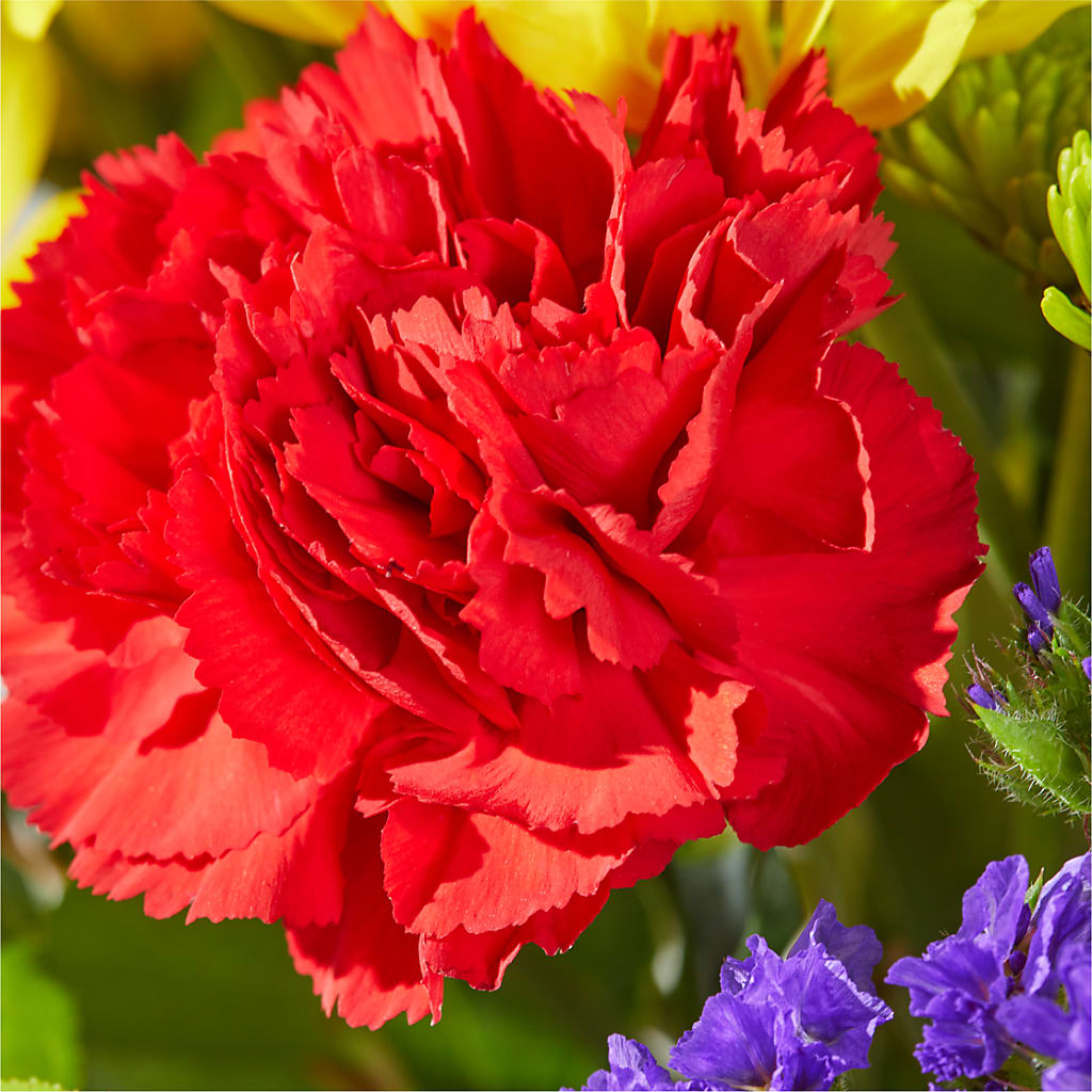 Brighter Days Bouquet – FLOWERS & GIFTS AT ROTH'S, Salem OR