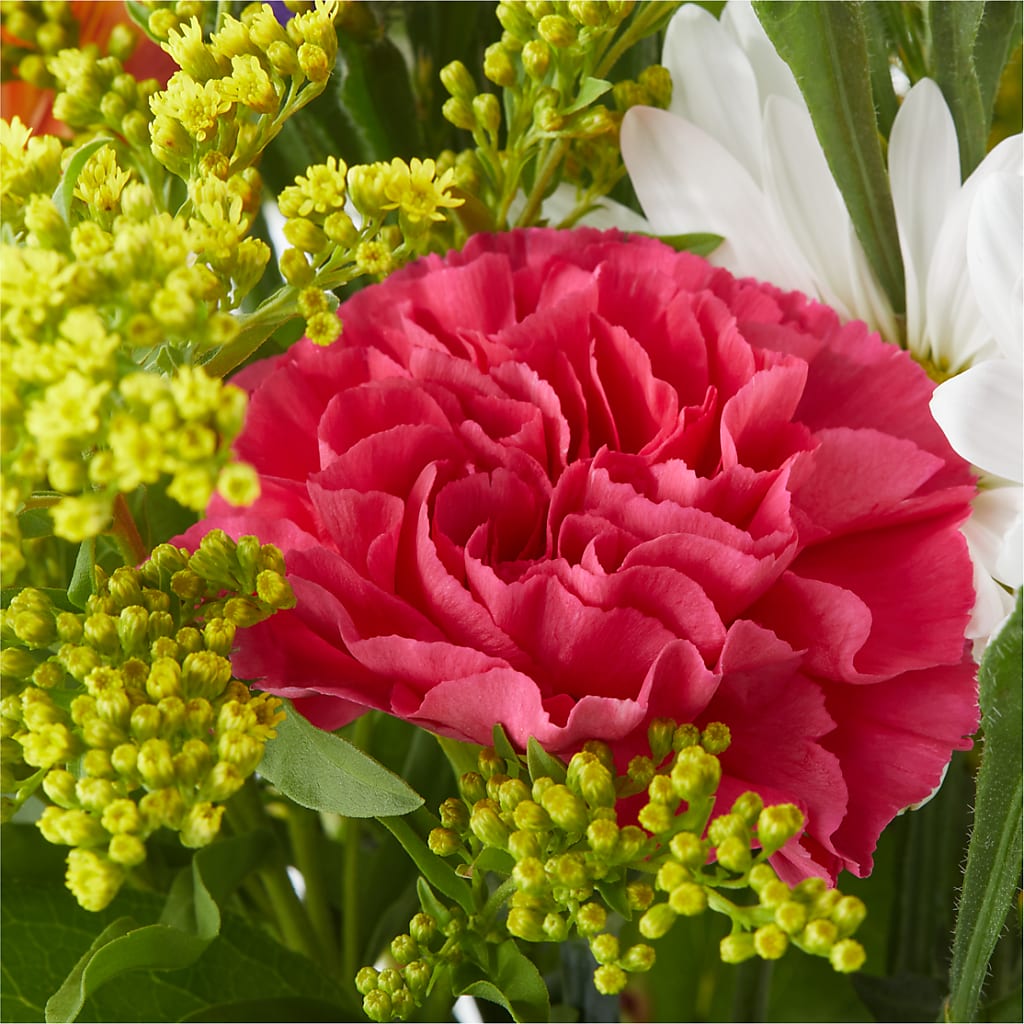 Oopsie Daisy Bouquet – FLOWERS & GIFTS AT ROTH'S, Salem OR