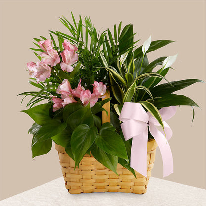 Living Spirit Dishgarden – FLOWERS & GIFTS AT ROTH'S, Salem OR