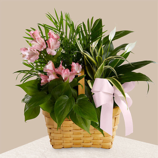 Living Spirit Dishgarden – FLOWERS & GIFTS AT ROTH'S, Salem OR