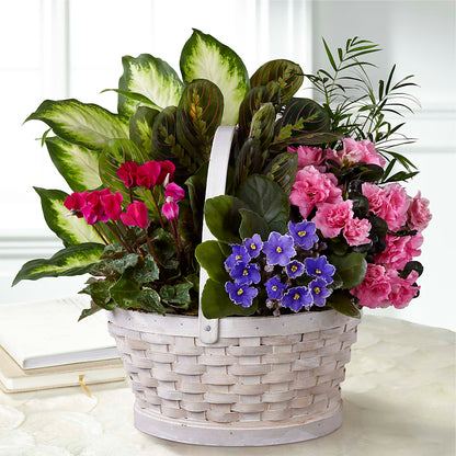 Peaceful Garden Planter – FLOWERS & GIFTS AT ROTH'S, Salem OR