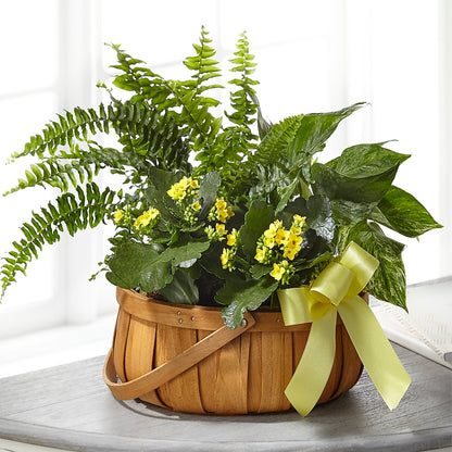 Always Dear Dishgarden – FLOWERS & GIFTS AT ROTH'S, Salem OR