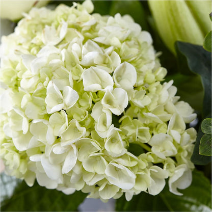 Classic Ivory – A Florist Original – FLOWERS & GIFTS AT ROTH'S, Salem OR
