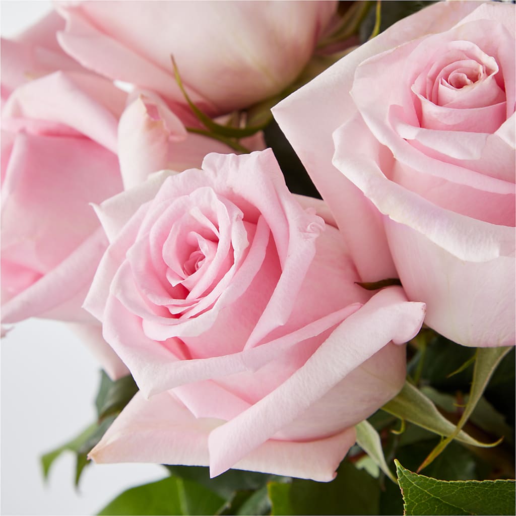 Picture Perfect Pink Rose Bouquet – FLOWERS & GIFTS AT ROTH'S, Salem OR