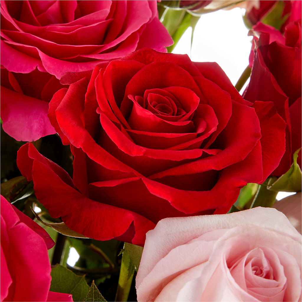 Love Notes Rose Bouquet – FLOWERS & GIFTS AT ROTH'S, Salem OR