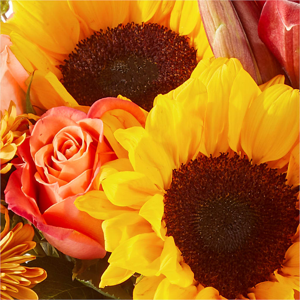 Acorn Lane Bouquet – FLOWERS & GIFTS AT ROTH'S, Salem OR