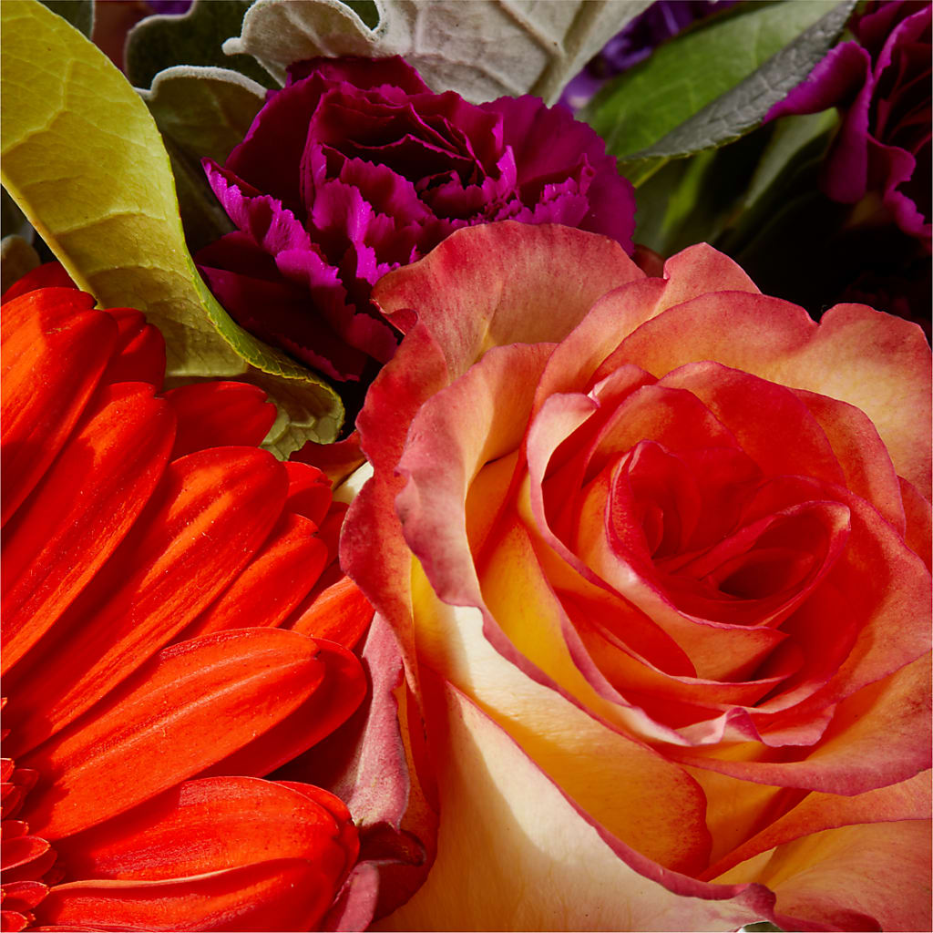 Sangria Bouquet – FLOWERS & GIFTS AT ROTH'S, Salem OR