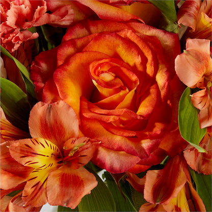 Apricot Glow Bouquet – FLOWERS & GIFTS AT ROTH'S, Salem OR