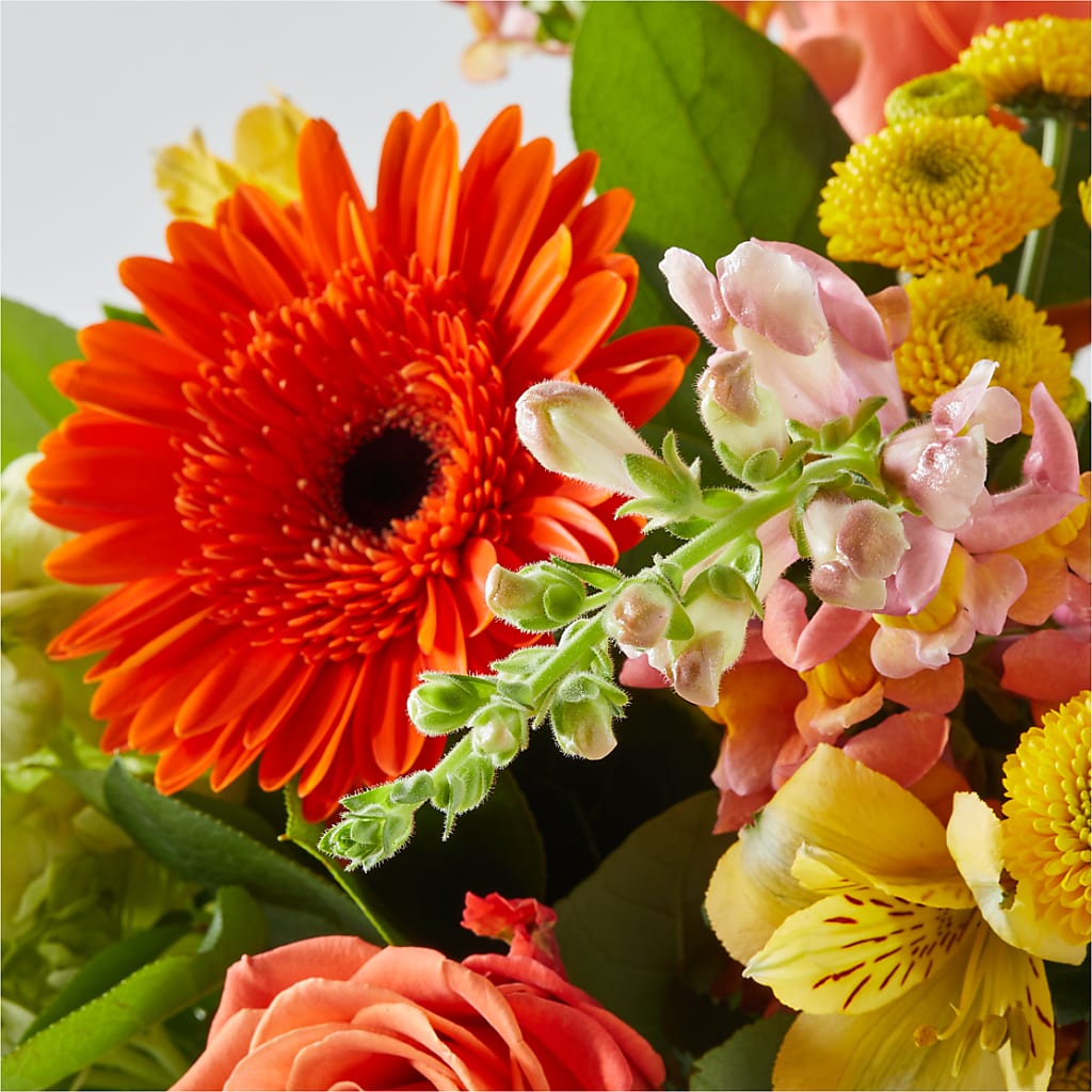 Autumn Sunshine Bouquet – FLOWERS & GIFTS AT ROTH'S, Salem OR