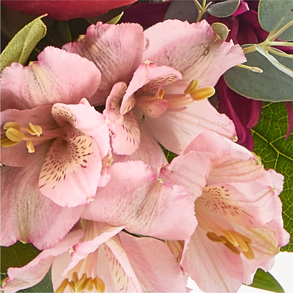 Berry Cobbler Bouquet – FLOWERS & GIFTS AT ROTH'S, Salem OR