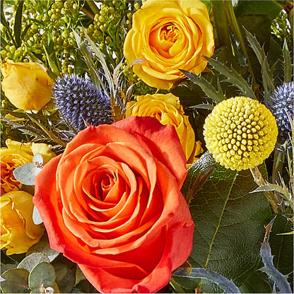 Disco Bouquet – FLOWERS & GIFTS AT ROTH'S, Salem OR