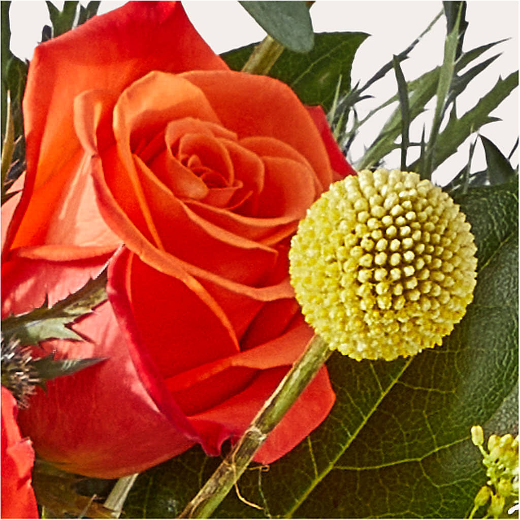 Disco Bouquet – FLOWERS & GIFTS AT ROTH'S, Salem OR