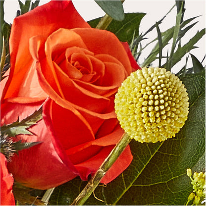 Disco Bouquet – FLOWERS & GIFTS AT ROTH'S, Salem OR