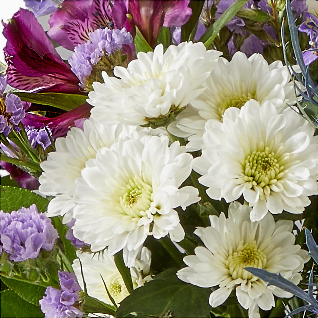 Shooting Star Bouquet – FLOWERS & GIFTS AT ROTH'S, Salem OR
