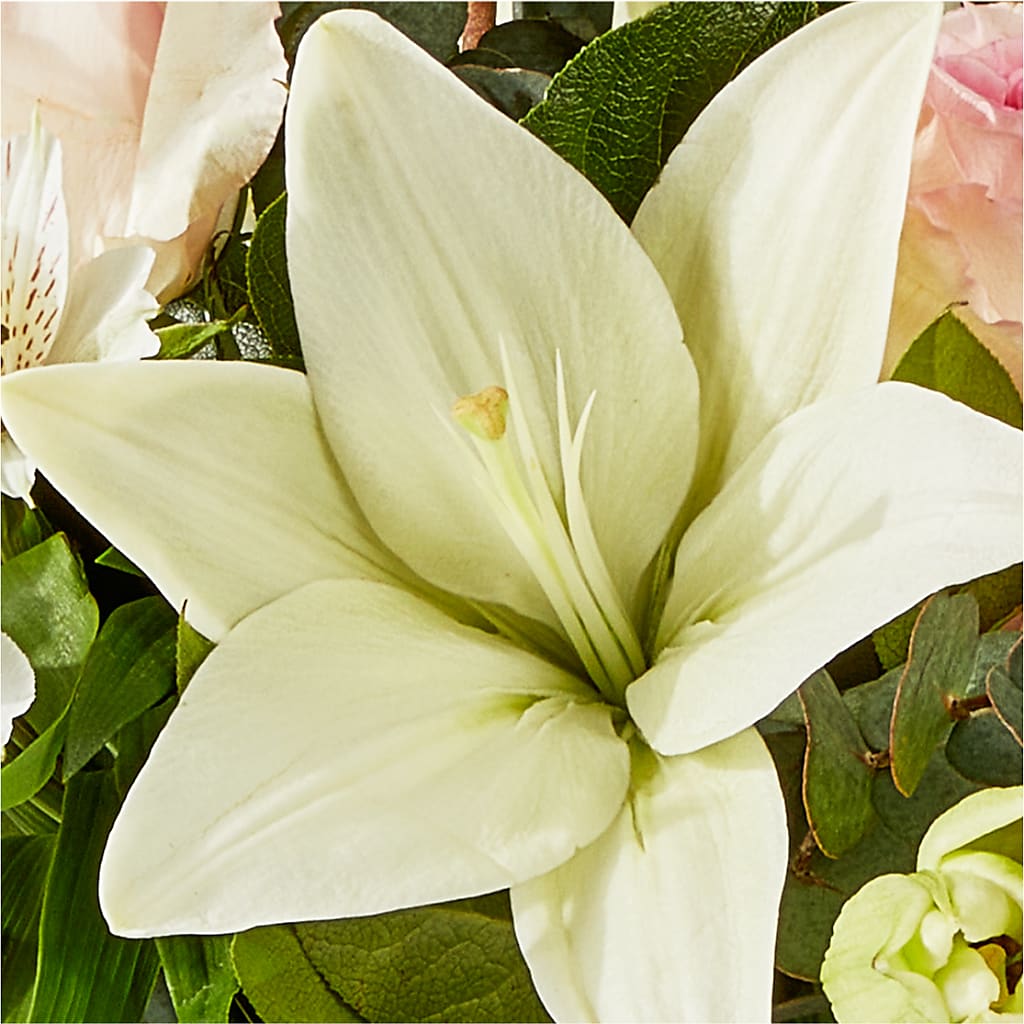 Ballet Slippers Bouquet – FLOWERS & GIFTS AT ROTH'S, Salem OR