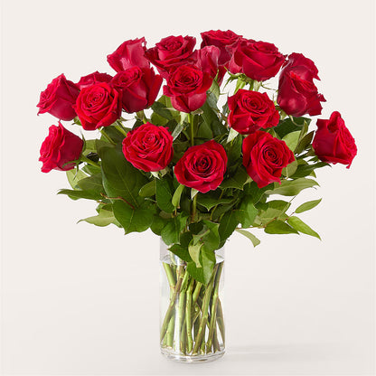 The One Red Rose Bouquet – FLOWERS & GIFTS AT ROTH'S, Salem OR