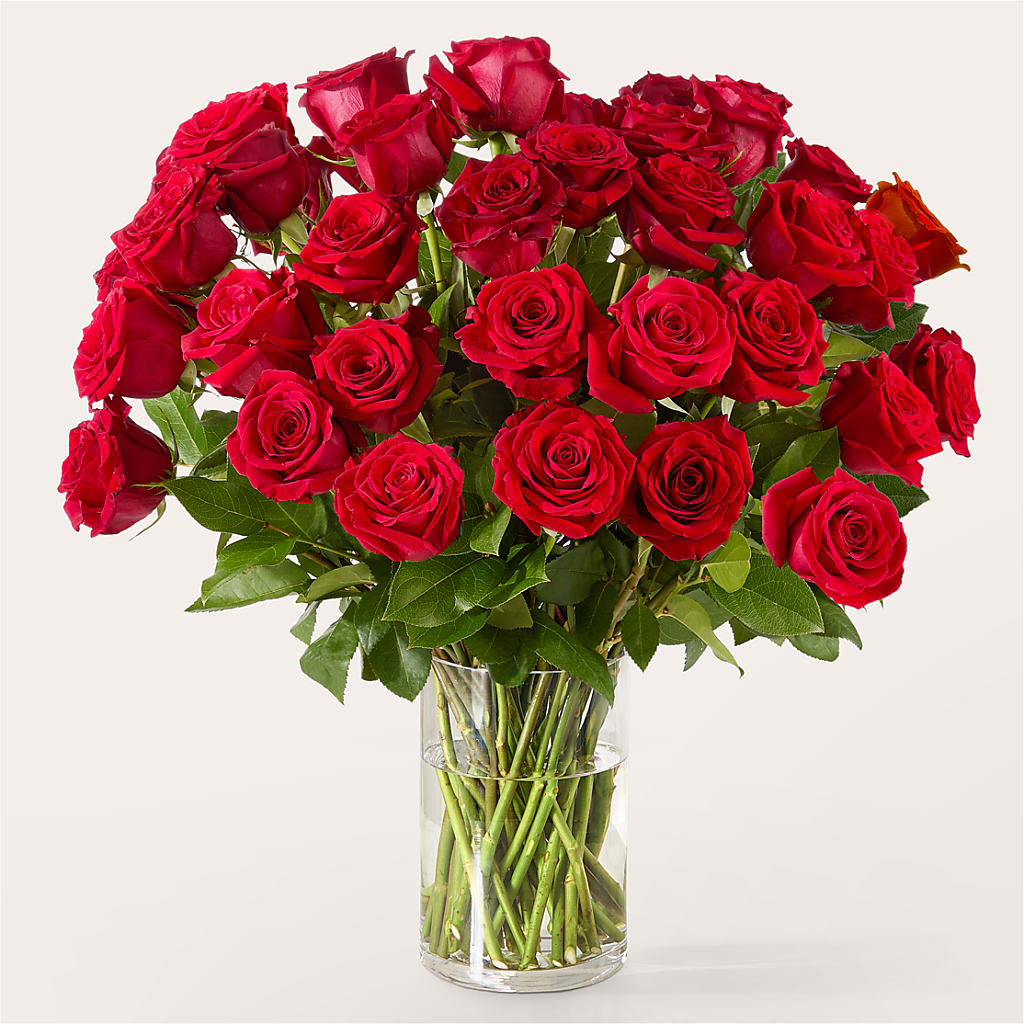 The One Red Rose Bouquet – FLOWERS & GIFTS AT ROTH'S, Salem OR